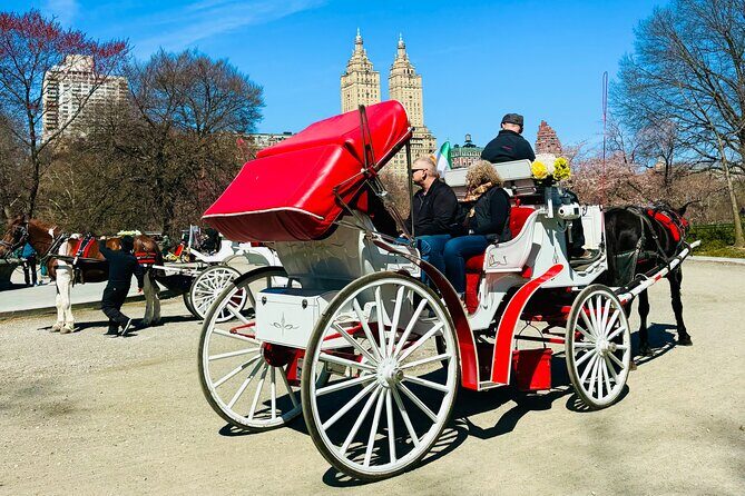 45 min Long VIP Central park carriage ride - The Sum Up