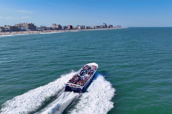 45-Minute Sea Rocket Speed Boat & Dolphin Cruise in Ocean City MD - Key Points