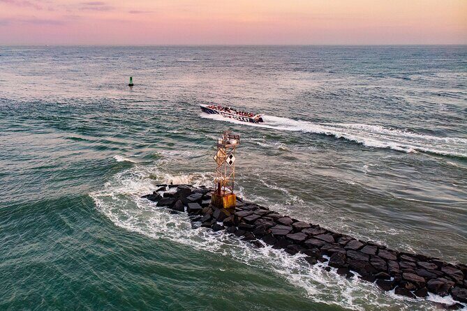 45-Minute Sea Rocket Speed Boat & Dolphin Cruise in Ocean City MD - Practical Tips for Your Trip