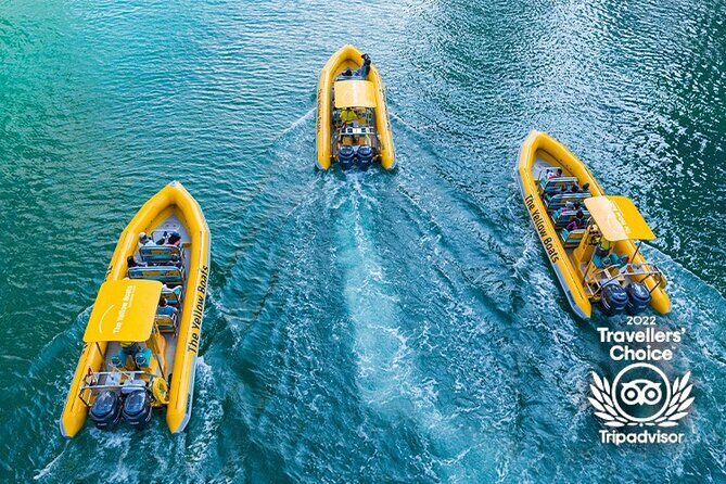 45-Minute Thrilling Speedboat Tour to Atlantis Hotel - The Value of This Experience