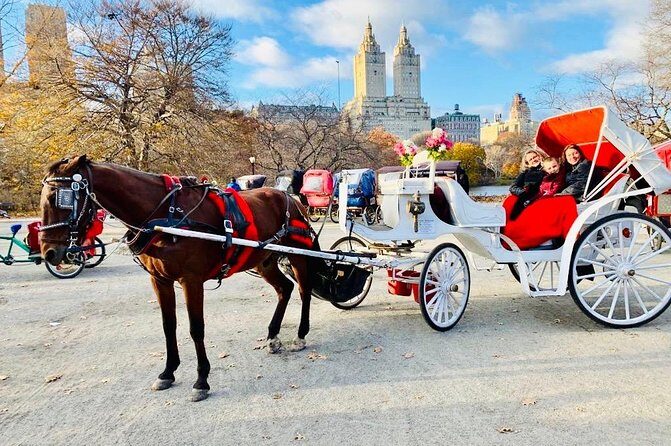 45 Minute VIP Central Park Carriage Ride - What to Expect from the Tour
