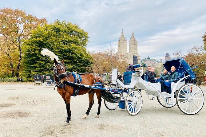 45 Minute VIP Central Park Carriage Ride - Who Will Love This Tour