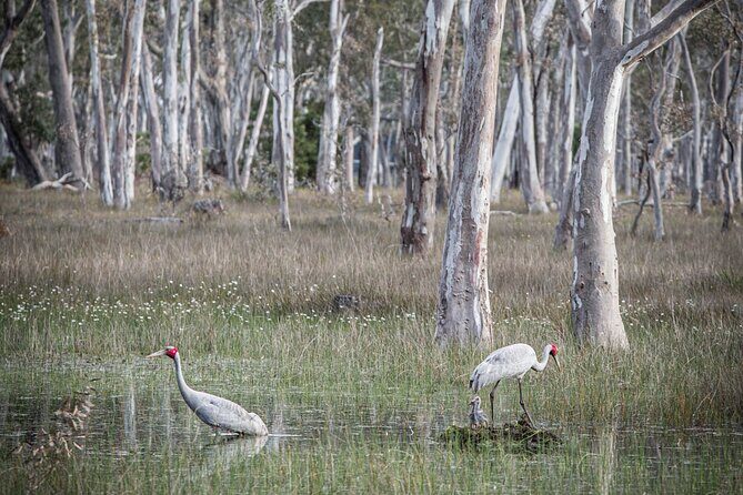 45 Minutes Private Tour at Warrawindi Farms - A Closer Look at the Experience