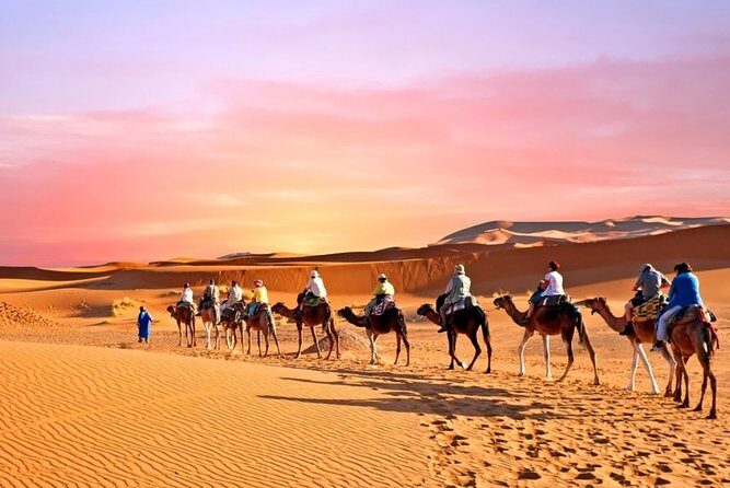 4D/3N Private Desert tour from Marrakech to Fez - Key Points