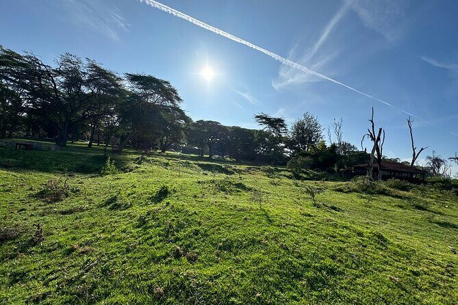 4day Maasai Mara, Lake Nakuru, and Lake Naivasha - An In-Depth Look at the 4-Day Itinerary