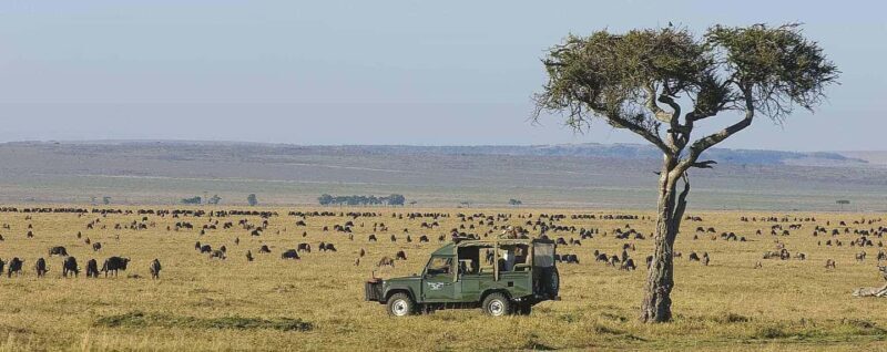 4Days Masai Mara and Lake Nakuru Safari on 4x4 Land Cruiser - Who Should Consider This Tour?