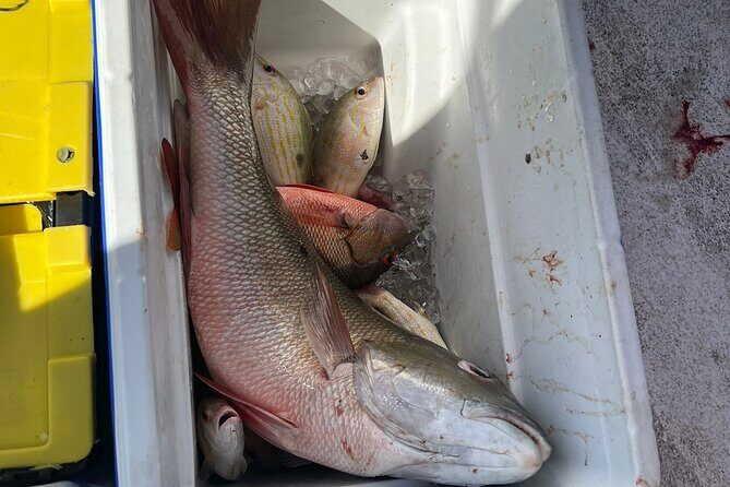 4HR-Halfday Private Fishing Tour in Gracebay - Frequently Asked Questions