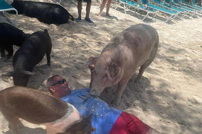 4hr Private Tour Island Hop Snorkel w/ Turtles & Sip Bahama Mamas - The Sum Up