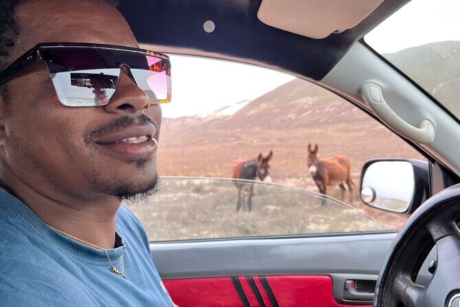 4WD Boa Vista group day tour south and north with sandboarding - The Sum Up