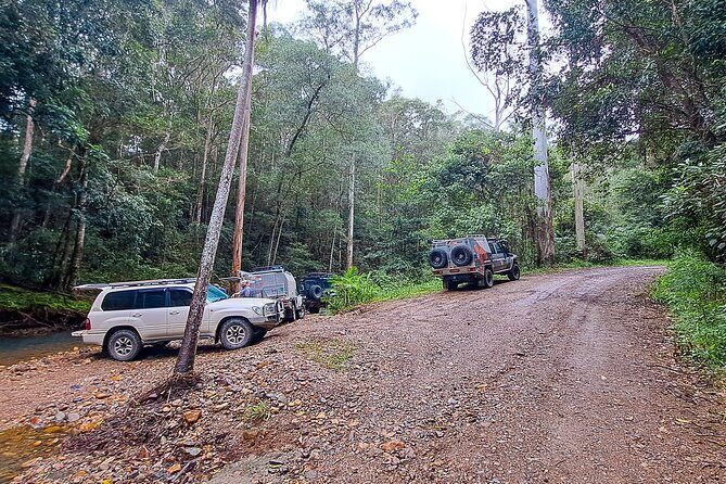 4WD Guided Day Trip In D'Aguilar National Park - FAQ