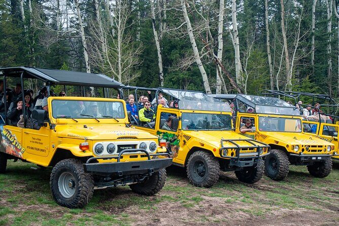 4WD Panoramic Peak Photo Tour in Estes Park - An Excursion into Colorado’s Wilderness: The Tour Overview