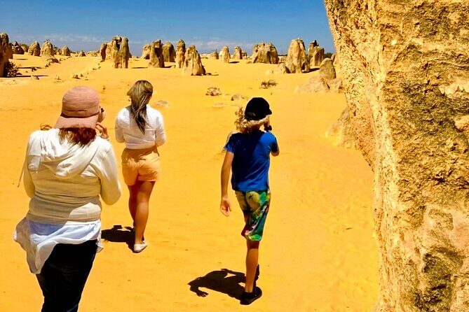 4WD Pinnacles Desert Turquoise Coast and Sand Boarding Adventure - Transport and Logistics
