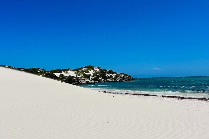 4WD Pinnacles Desert Turquoise Coast and Sand Boarding Adventure - Who Is This Tour Best For?