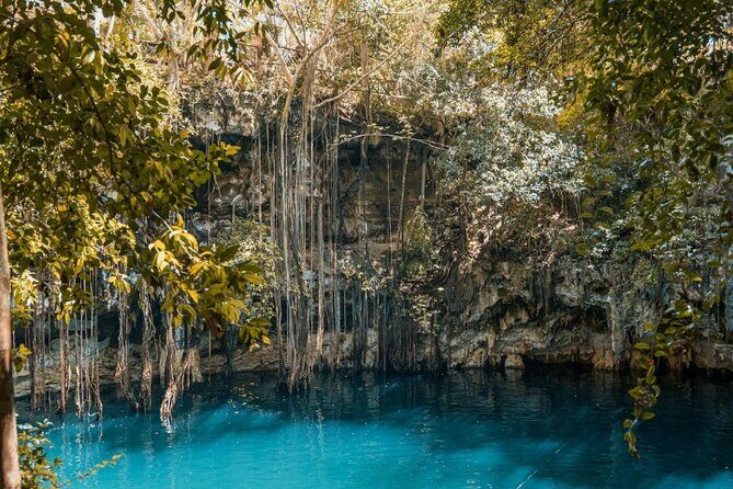 4x1 Explore TULUM Coba, Cenote and Mas, with transportation + Lunch. - Analyzing the Value