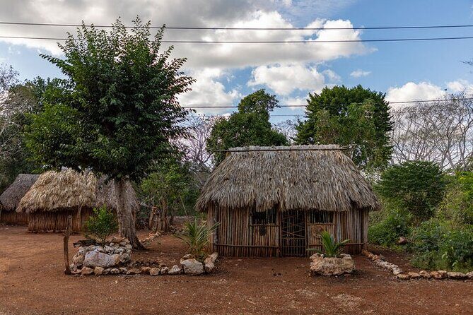 4x1 tour:Tulum/Coba,Cenote,Mayan Village& 5th Av Playa del Carmen - Key Points