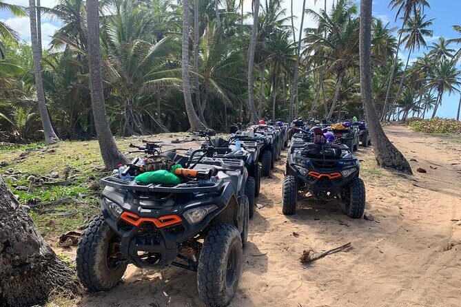 4x4 Adventure Tour, Mountains and Paradise Beaches with Food - Key Points
