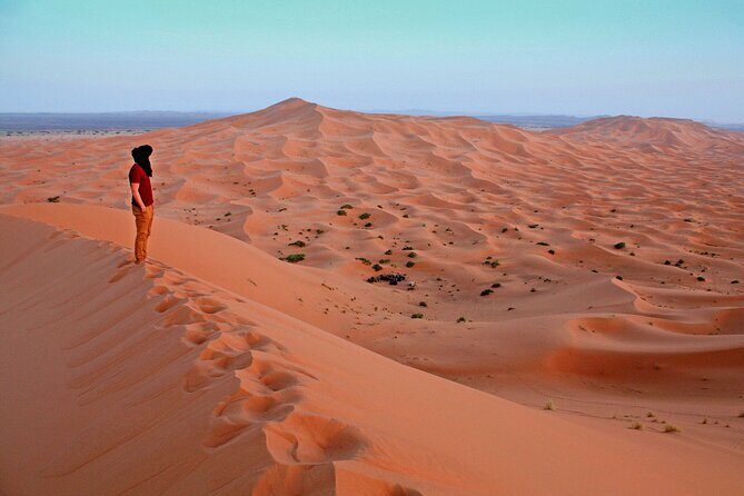 4x4 Arabian Adventure Desert Safari with BBQ Dinner - An In-Depth Look at the Experience