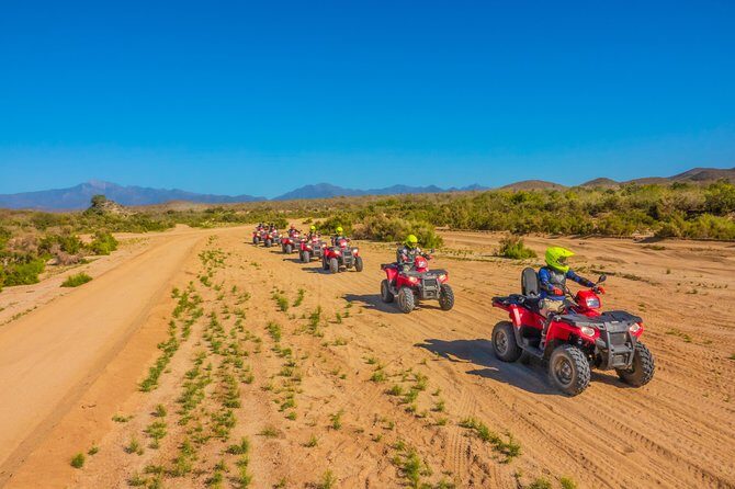 4x4 ATV Adventure with Tequila tasting and Mexican buffet lunch - Value and Considerations