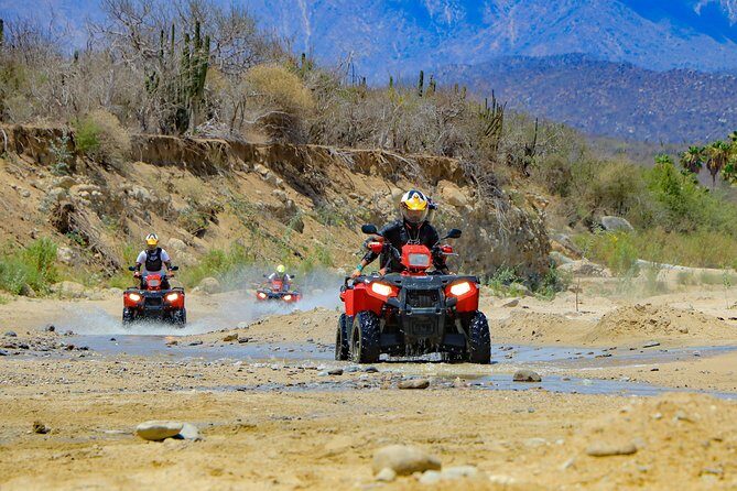 4x4 ATV Adventure with Tequila tasting and Mexican buffet lunch - Who Will Love This Tour?