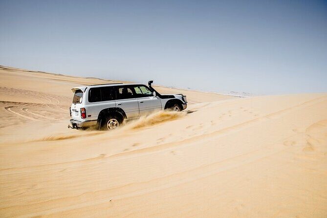 4x4 Desert Safari, Sandsurf, and Camel Ride from cairo with Lunch - What You Can Expect from the Itinerary