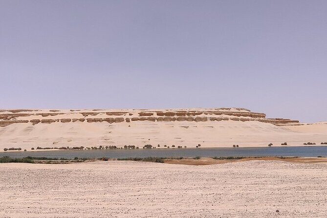 4x4 Desert Safari, Sandsurf, and Camel Ride from cairo with Lunch - Authenticity and Reviews: What Actual Travelers Say