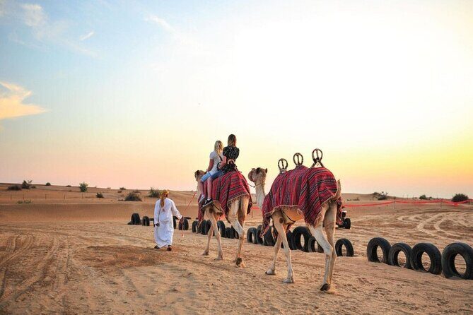 4x4 Dubai Desert Safari, Dune Bash, Camel Ride & BBQ - Who Should Consider This Tour?