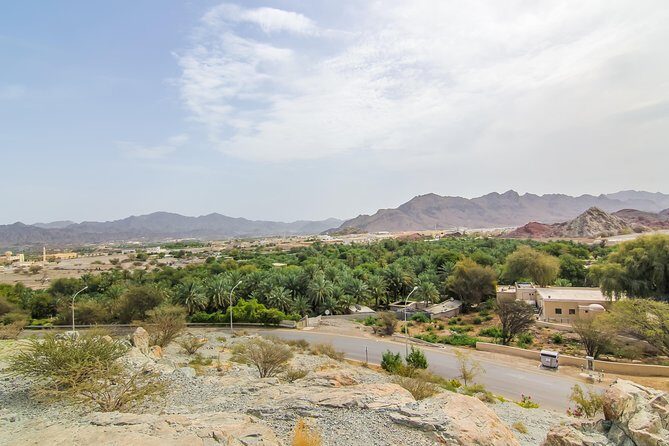 4x4 Hatta Safari to Fossil Rock & Honey Bee Garden visit with Breakfast - Pricing and Value