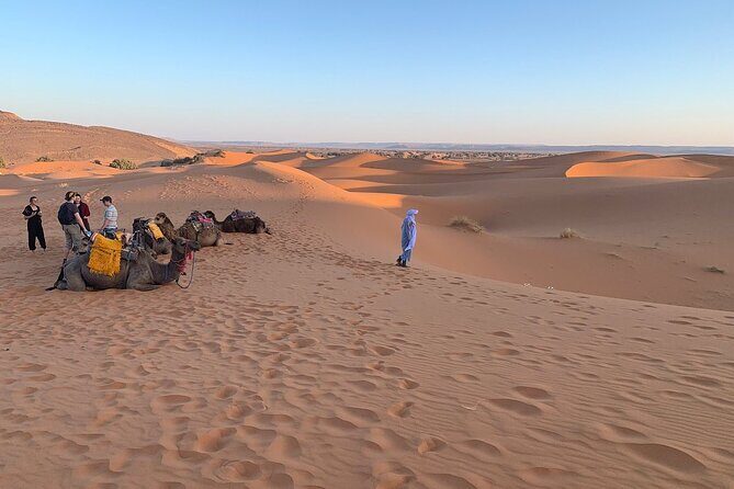 4×4 Jeep Desert Safari Tour with Lunch and Camel Ride - A Deep Dive into the Tour Experience