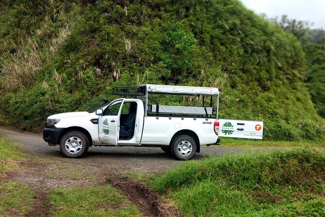 4x4 Safari HEREAKIMANU Tour in the Heart of Tahiti - What to Expect During the Ride