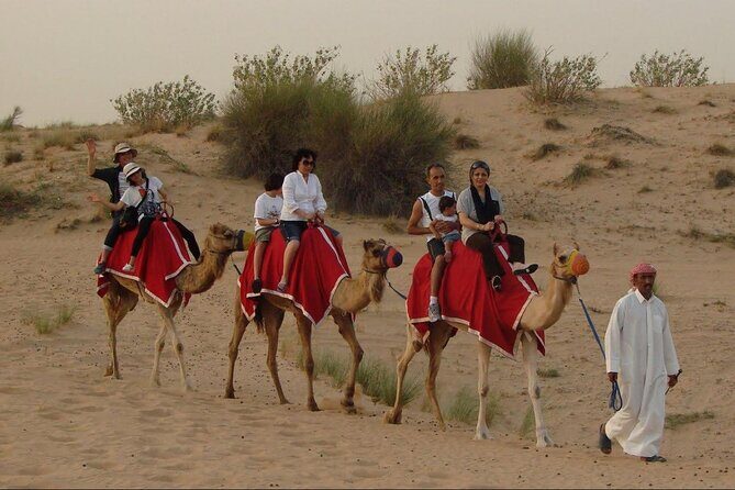 4x4 Self-Drive Quad Bike Safari with Camel Riding - Authenticity and Personable Guides