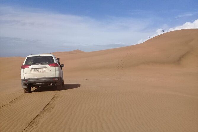 4×4 Wild Nature Private Half Day Trip - An In-Depth Look at the 4×4 Wild Nature Private Half Day Trip