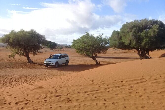 4×4 Wild Nature Private Half Day Trip - Who Will Love This Tour?