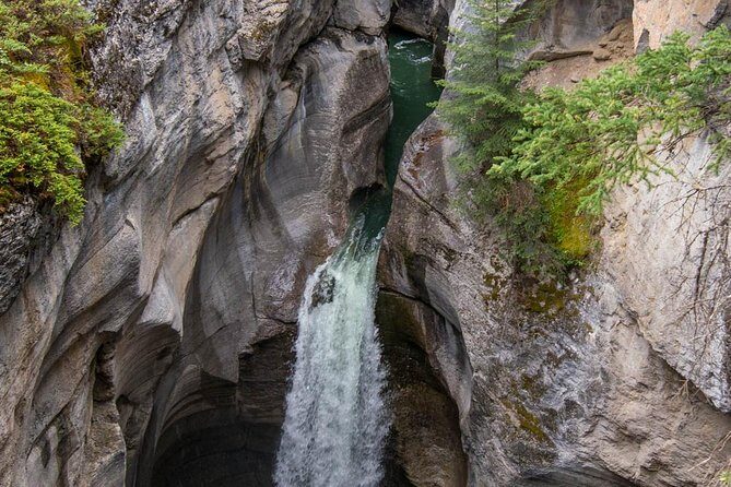 5.5-Hour Jasper Wildlife and Waterfalls Tour with Maligne Lake Cruise from Jasper - A Deep Dive into the Experience