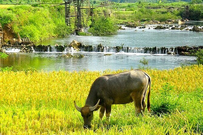 5, 6, 7 day Vietnam Itinerary | Charming | 2025 Northern Packages - Authentic Experiences and Local Culture