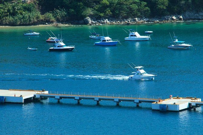 5-Bay Exclusive Premium Panga Experience - Frequently Asked Questions