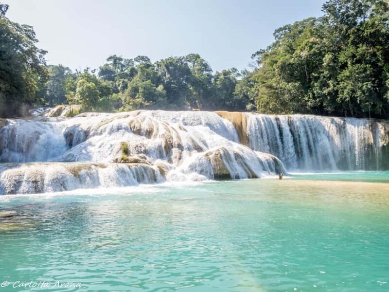 5-day, 4-night "Unforgettable Chiapas" tour (Tuxtla - Villahermosa). - Practical Details and Value Analysis
