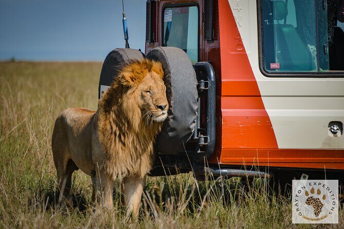 5-Day 4 Nights Masai Mara-L Nakuru-Hell's Gate Budget Safari - What Makes This Tour Stand Out?