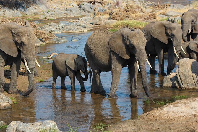 5 day 4 Nights Private Adventure Camping Norther Tanzania Safari - The Sum Up
