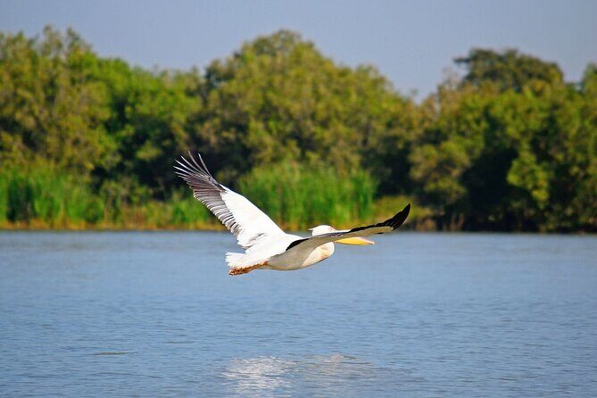 5 Day Addis,Bahir Dar,Gondar,Simien Mountains and Lalibela Tours - FAQ