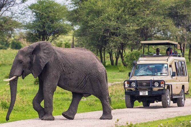 5 Day Adventure Camping Safari to Serengeti, Ngorongoro crater & Tarangire - A Deep Dive into the Itinerary