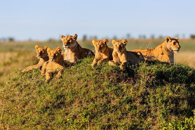 5 Day Adventure Camping Safari to Serengeti, Ngorongoro crater & Tarangire - Who Will Love This Safari?