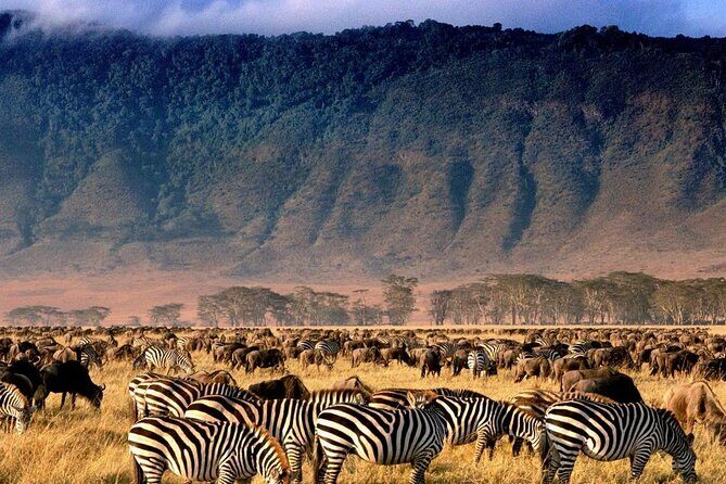 5 Day Adventure Camping Safari to Serengeti, Ngorongoro crater & Tarangire - FAQ