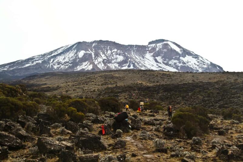 5-Day Adventure Kilimanjaro Trekking via Marangu Route - The Experience: What to Expect and How It Feels