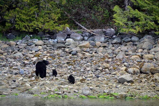 5-Day Adventure Tour in Vancouver Island Exploration - FAQ