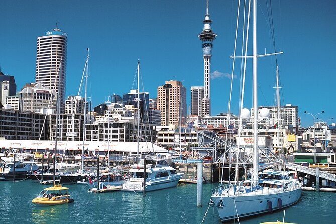 5-Day Bay of Islands, Auckland, Hobbiton, Rotorua & Waitomo Tour - Final Thoughts