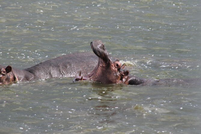 5-Day Big 5 Kidepo valley National Park Safari - Detailed Itinerary Breakdown