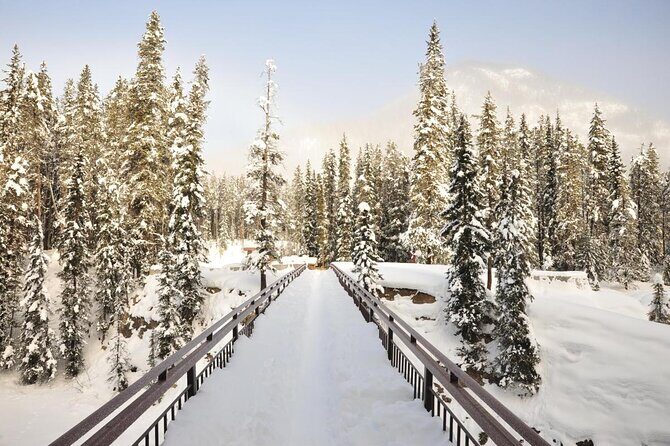 5 Day Canadian Rockies, Banff, Lake Louise, Moraine Lake, Jasper - Key Points