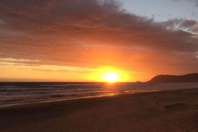 5 Day Cape to Addo Safari - Garden Route Small Group Tour - Practical Considerations