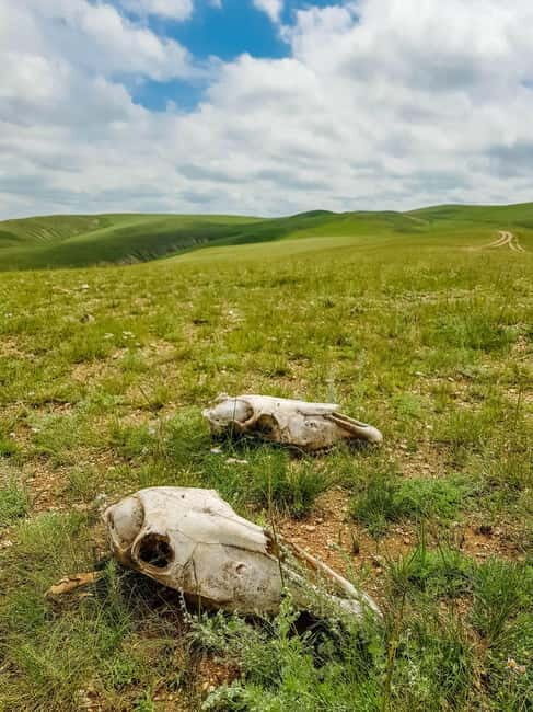 5 day Central Mongolia and Nomad stay tour - FAQs