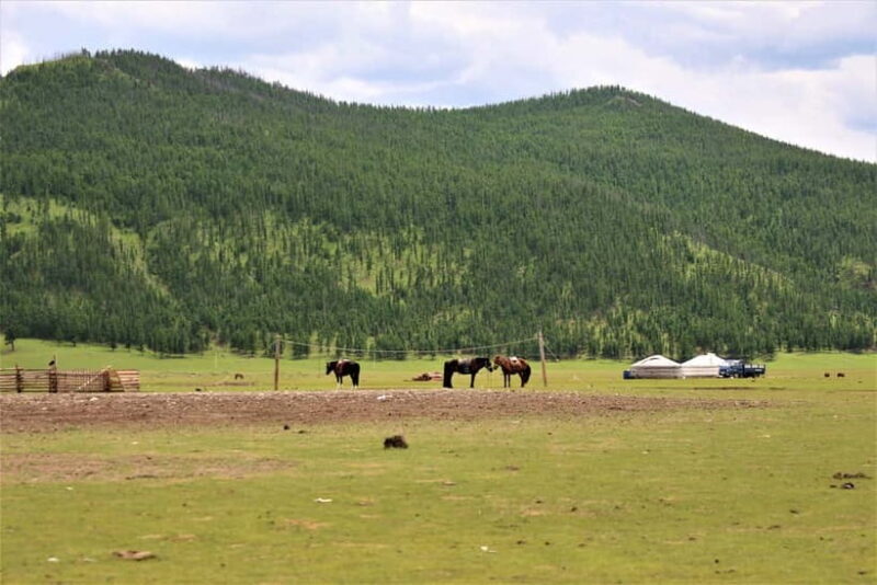 5 day Central Mongolia and Nomad stay tour - Final Thoughts